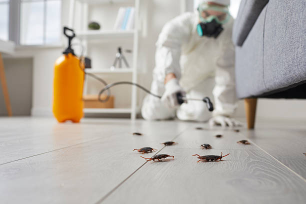 Commercial Kitchen Cockroach Control in Clarks Summit